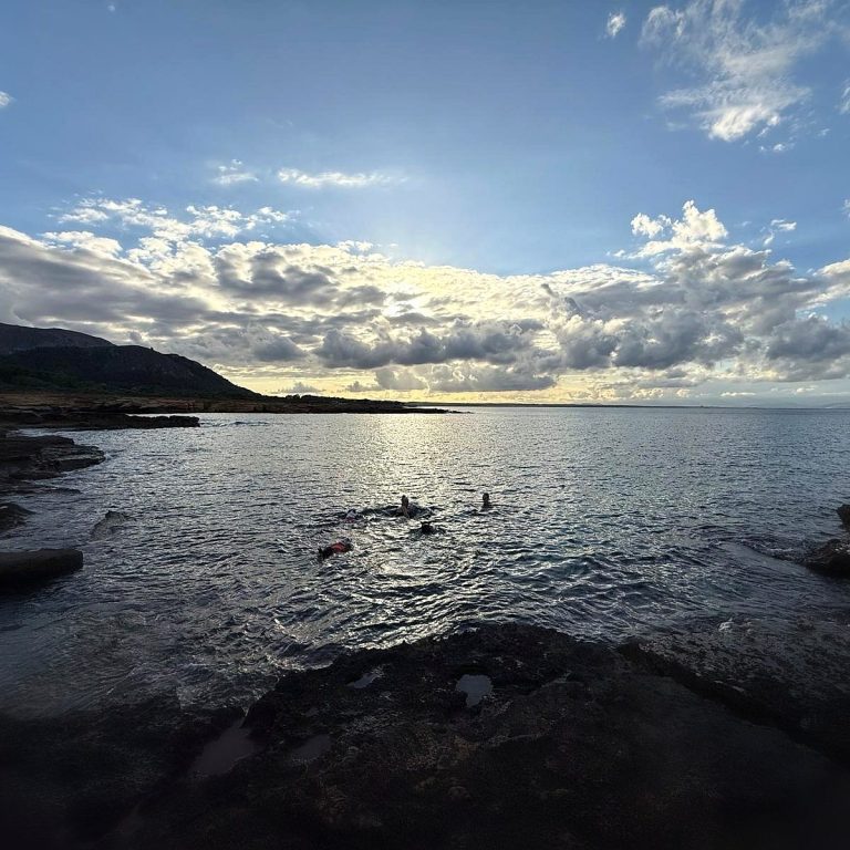 2 Menschen und 3 Hunde beim Sonnenuntergang im frischen Meer, die ganze herrliche Bucht für uns allein, Geschenke des Lebens #mallorca #canpicafort #lebensfreude  Licht und Liebe