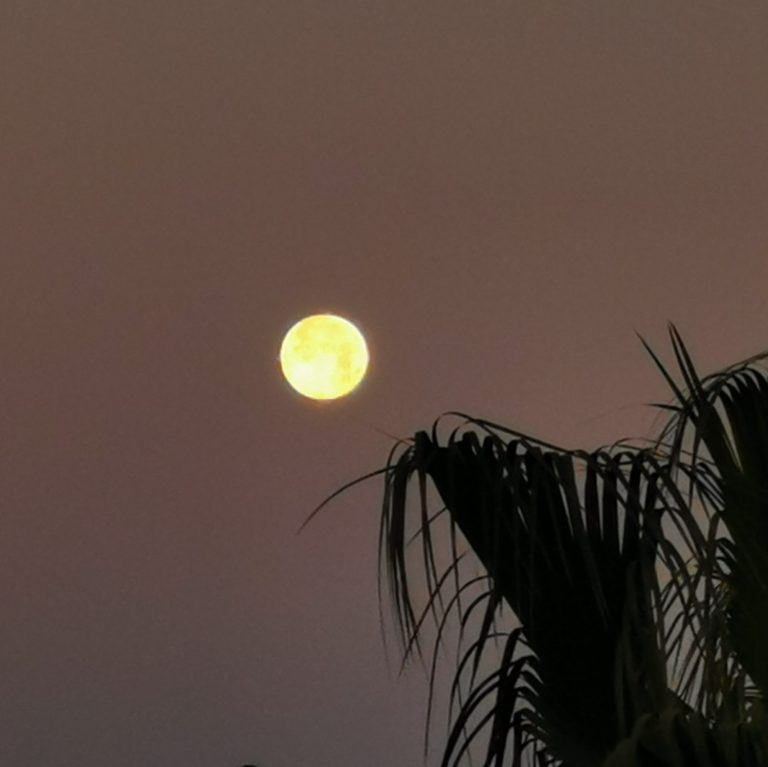 der letzte Vollmond über der Bucht von Alcudia in diesem Jahr