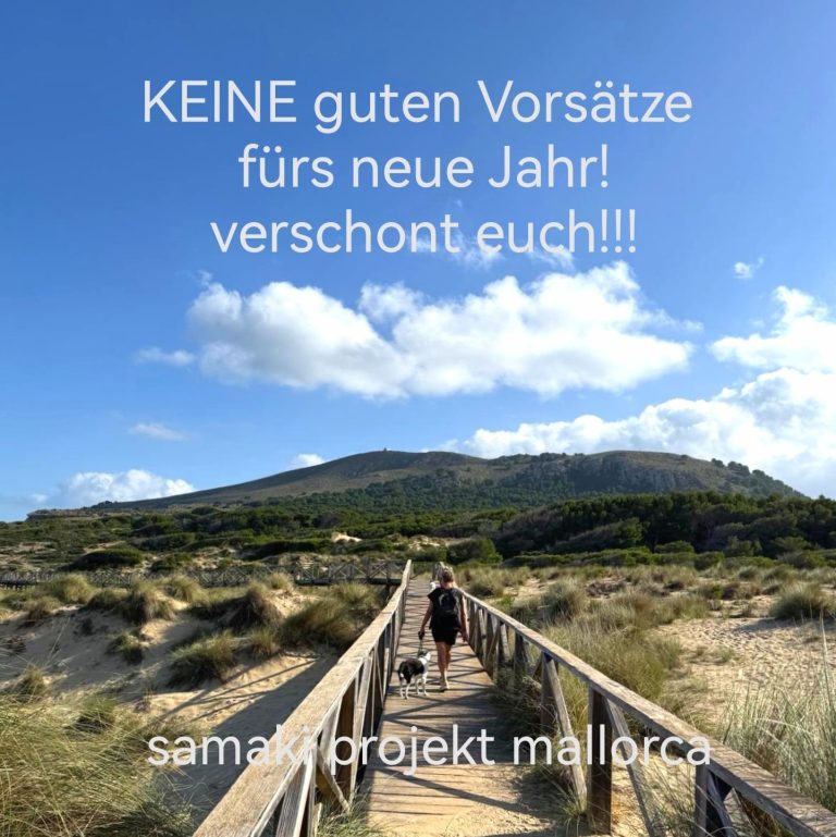 KEINE guten Vorsätze fürs neue Jahr! verschont euch!!!