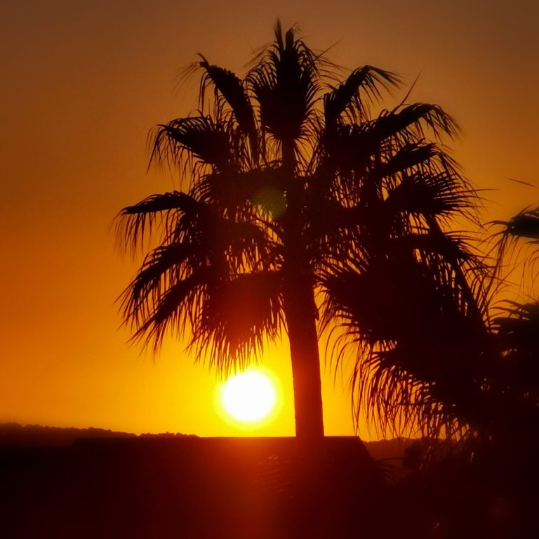 Sonnenuntergänge sind magisch