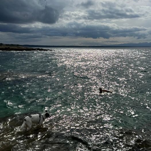 Mallorca am späten freien samaki Nachmittag